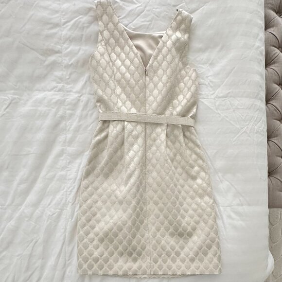 WHBM Champagne Metallic Diamond Jacquard Sheath Dress Sz 2 - Picture 3 of 11